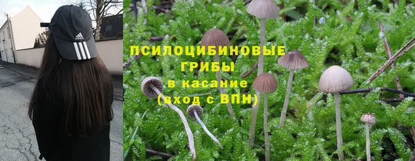 соль курить ск Корсаков