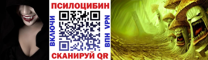 дарнет шоп  Комсомольск-на-Амуре  Галлюциногенные грибы Psilocybe 